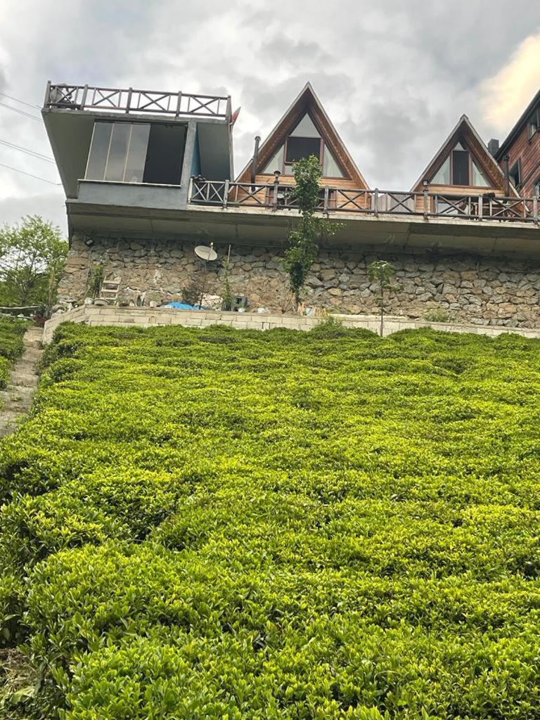 Çamlıhemşin Purkinora Bungalov מראה חיצוני תמונה